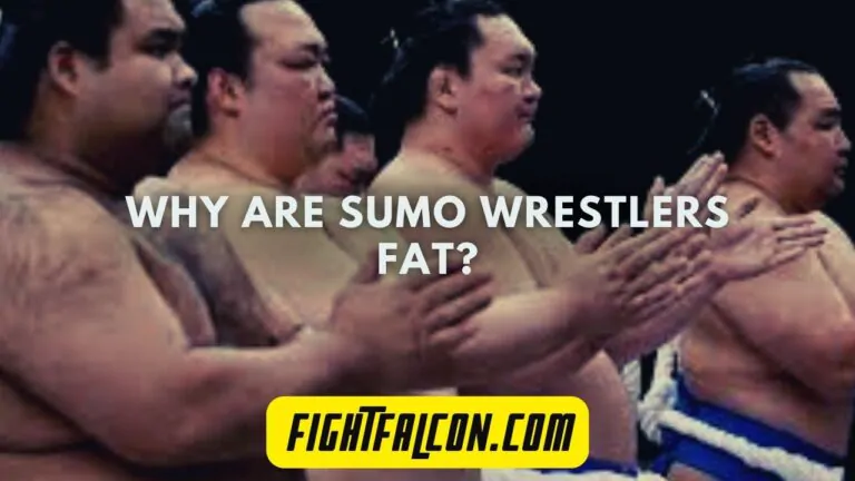 Why Are Sumo Wrestlers Fat?
