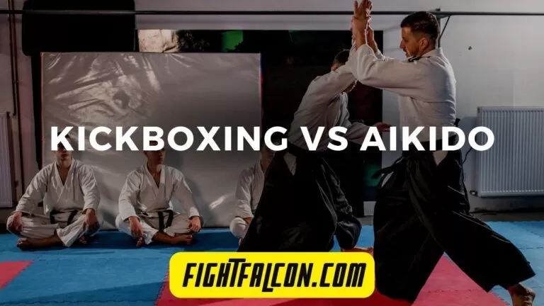 Kickboxing vs Aikido