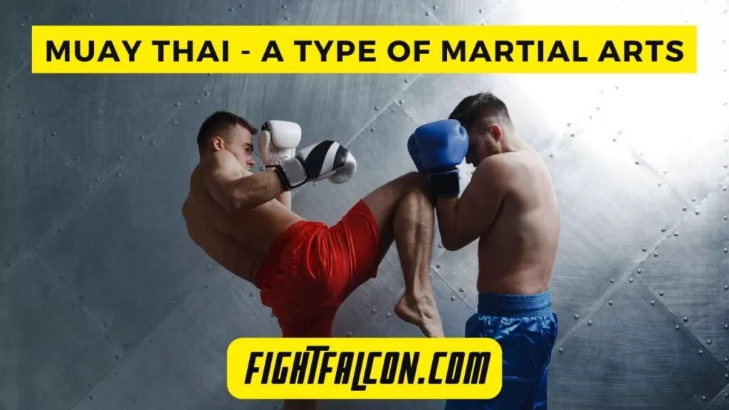 Muay Thai - Martial Arts Type