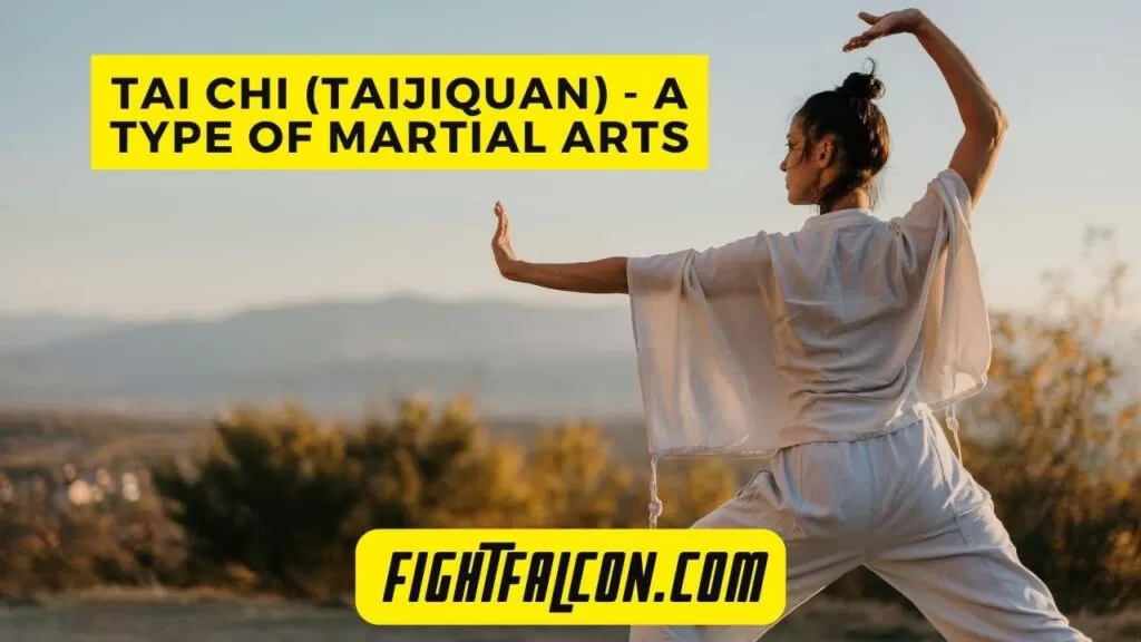 Tai Chi (Taijiquan) - One of the Best Martial Arts Types