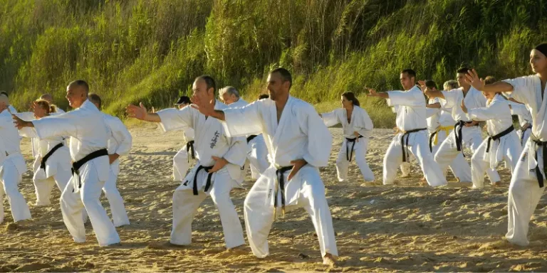 4 Main Types Of Karate , Other Types Of Karate & Their Benefits 
