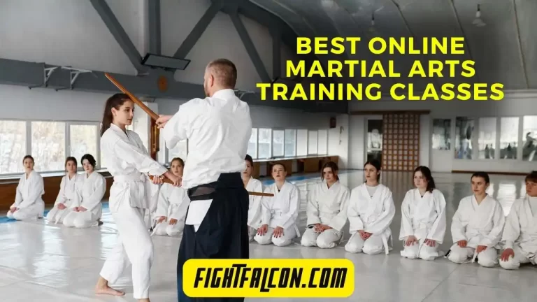 Best Online Martial Arts Training Classes