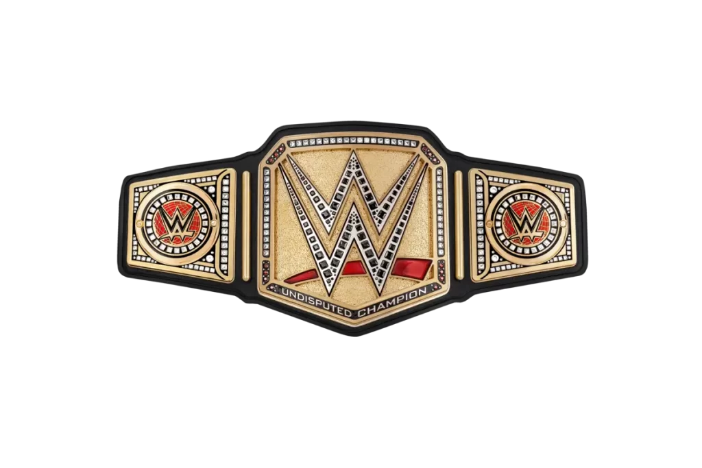 How doest the WWE Championships decided